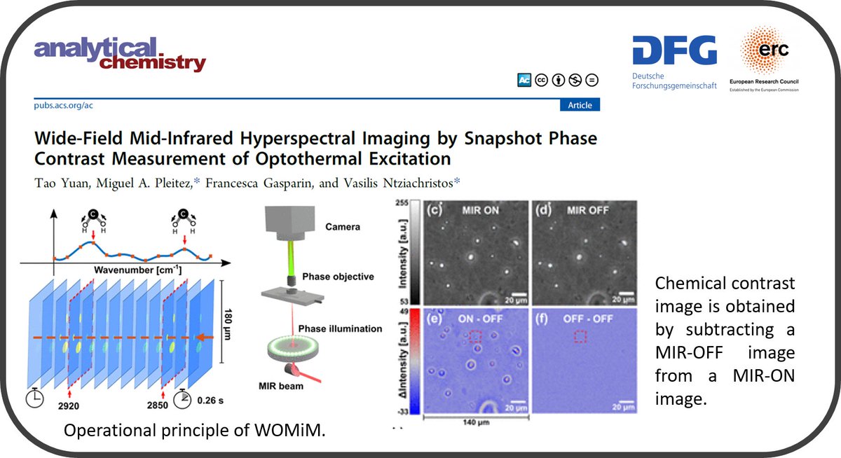 MunichImaging's tweet photo. #vibrational #microscopy!
Tao Yuan, @PleitezMAP @munichimaging invent wide-field #optothermal mid-#infrared #microscopy (#WOMiM) for chemical-contrast imaging based on pump–probe detection of optothermal signals.
read @an_chem
https://t.co/JUncTJbFuw
@ERC_research @DFG_public https://t.co/qVVIQrhFdJ