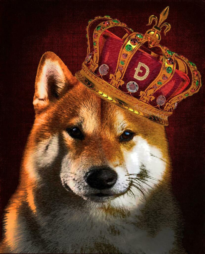 dogecoin_r's tweet photo. I spent the last 5 hours trying to remember how to use photoshop, after not using for the last 2 years, in order to bring this to life. I call it "Notorious D.O.G.E." via Anubis_ACX #Dogecoin https://t.co/kKuCMTosWZ