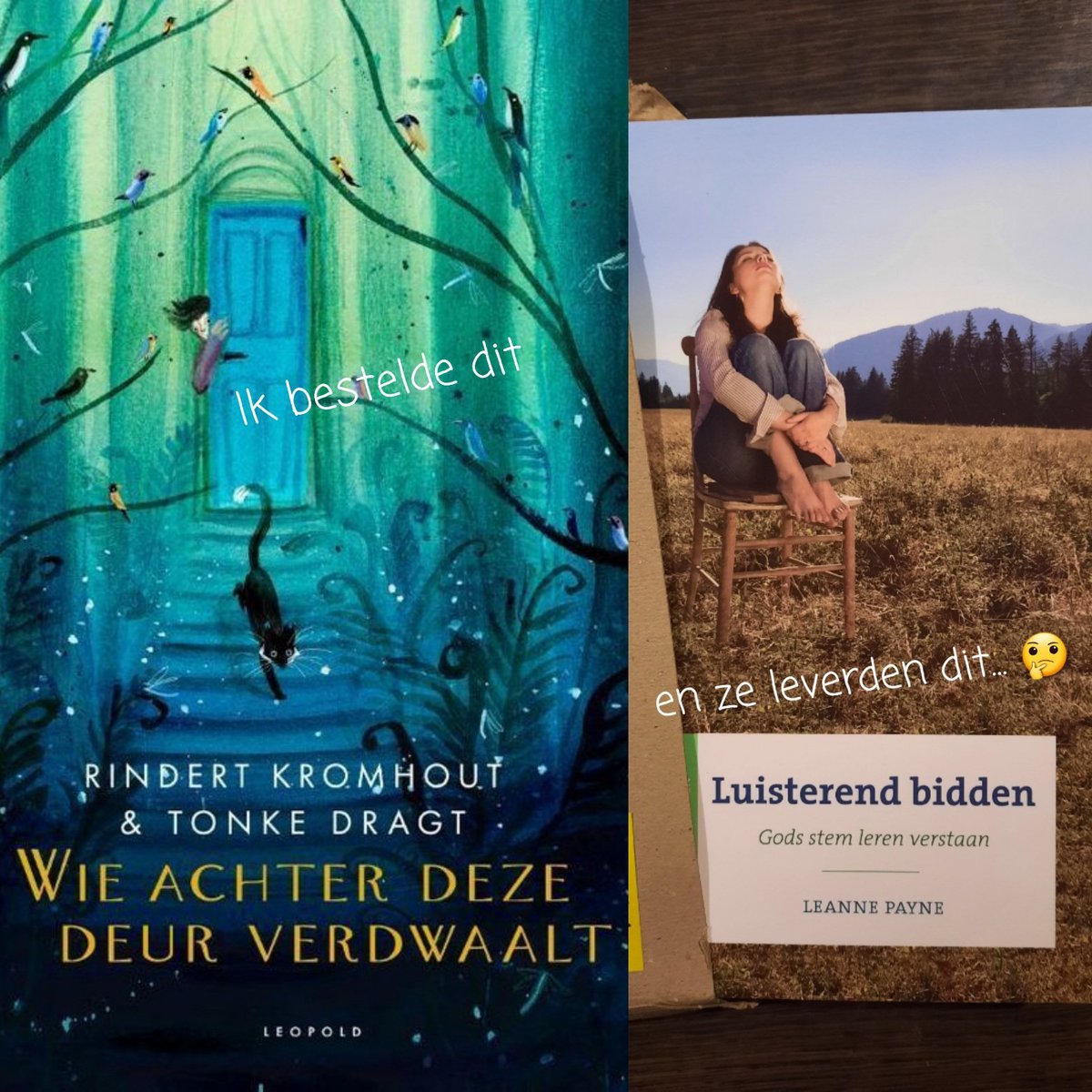 TheBookSyndrome's tweet photo. Ik heb het gevoel dat ze me bij @bol_com iets proberen te vertellen...

#boek #bol #kinderboek #lindefaas #tonkedragt #rindertkomhout #lezen #nietwatikhebbesteld https://t.co/J3AmT0ekjh