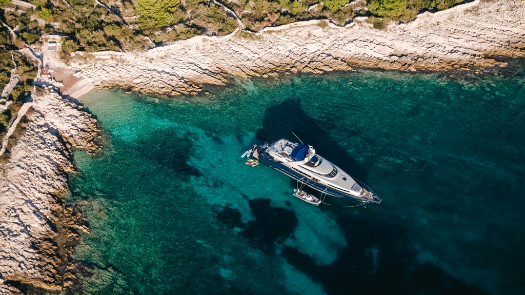 Boatsters Black tweet media