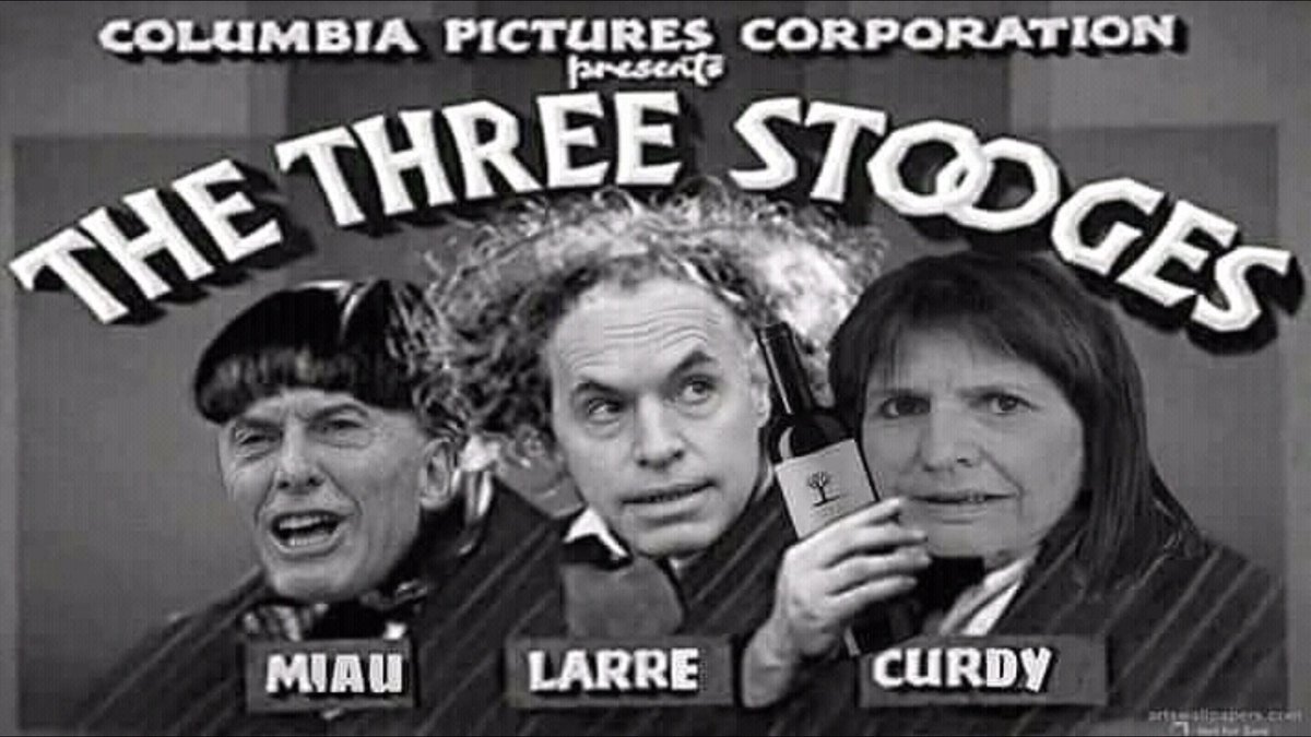 MascioNorberto's tweet photo. Para Tenembaum,  Lanata y compañia el #DiaDeLaMilitancia es el 4 de Julio https://t.co/aUcLwPN8cc
