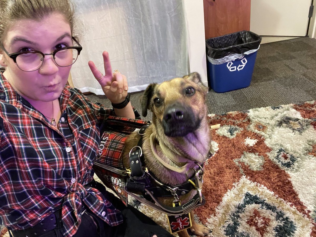 sisunshineboy's tweet photo. i inadvertently matched with sonny’s gear yesterday so i made him take these unflattering photos with me 😌👍 #servicedog #dogsoftwitter https://t.co/jCDxCFJUsN