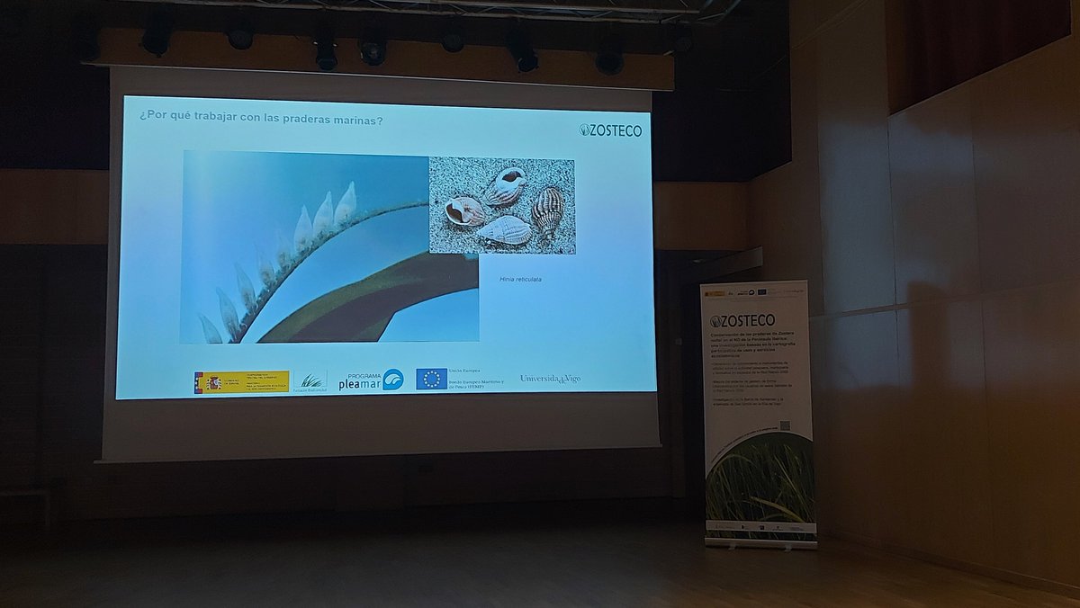 SebVillasante's tweet photo. Compartindo resultados finais do proxecto @zosteco cos actores vencellados coas pradeiras mariñas por Prof. E. Fernandez @uvigo @FBiodiversidad https://t.co/EsWTCb2AfT