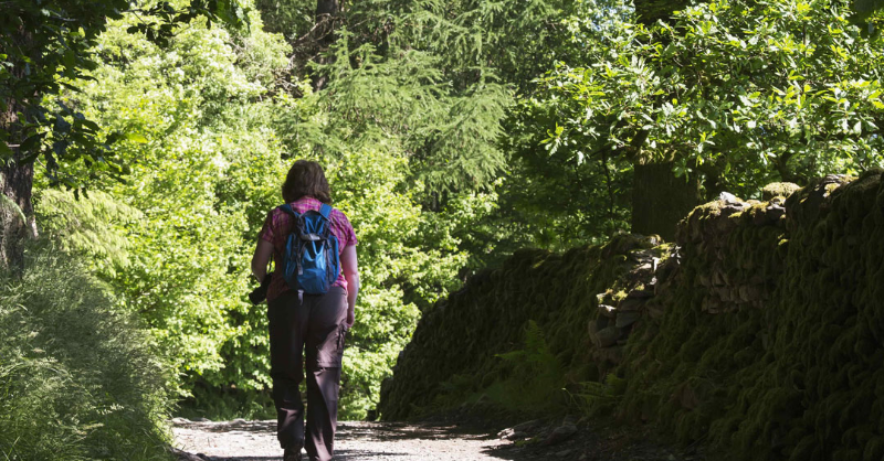 Sport England tweet media