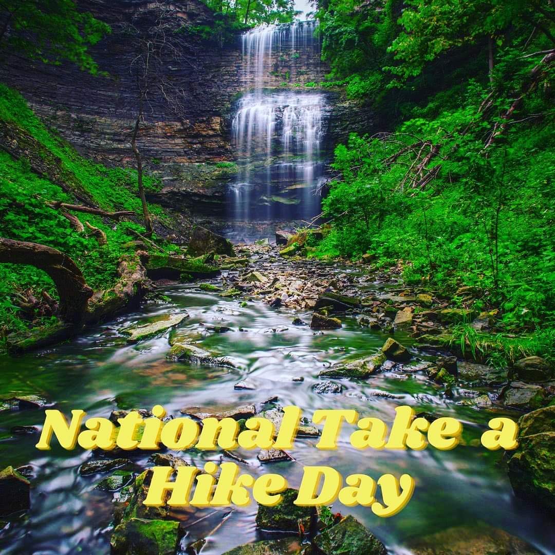 cannabis_sky's tweet photo. Donโt go chasing waterfallsโฆunless youโre prepared !!
If youโre going on a trek, make sure your weed kit is on deck !!
We are positively packed with pre-rolls to peruse and purchase to prepare your pals with prime potent product and puffs !!
#skycannabis #hamont #shermanfalls https://t.co/IWQE1j9gPQ