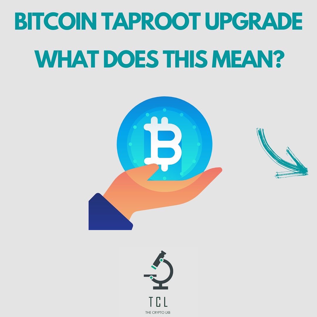 thecryptolxb's tweet photo. BTC TAPROOT UPGRADE IS NOW LIVE! 🚀 
Take a read and let us know what you think? 👇🏻👇🏻👇🏻
$BTC https://t.co/mNxH3mZOnL