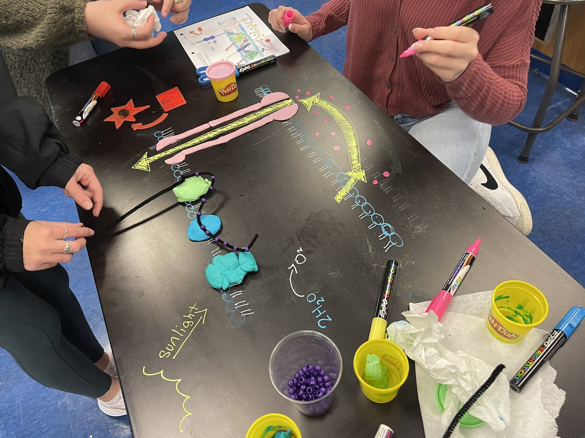 wernerbiology's tweet photo. AP Biology created models and then explained the process of chemiosmosis in the light dependent reactions of photosynthesis. @IHSBucPride @Interboro_SD https://t.co/dyUfSCI5Wn