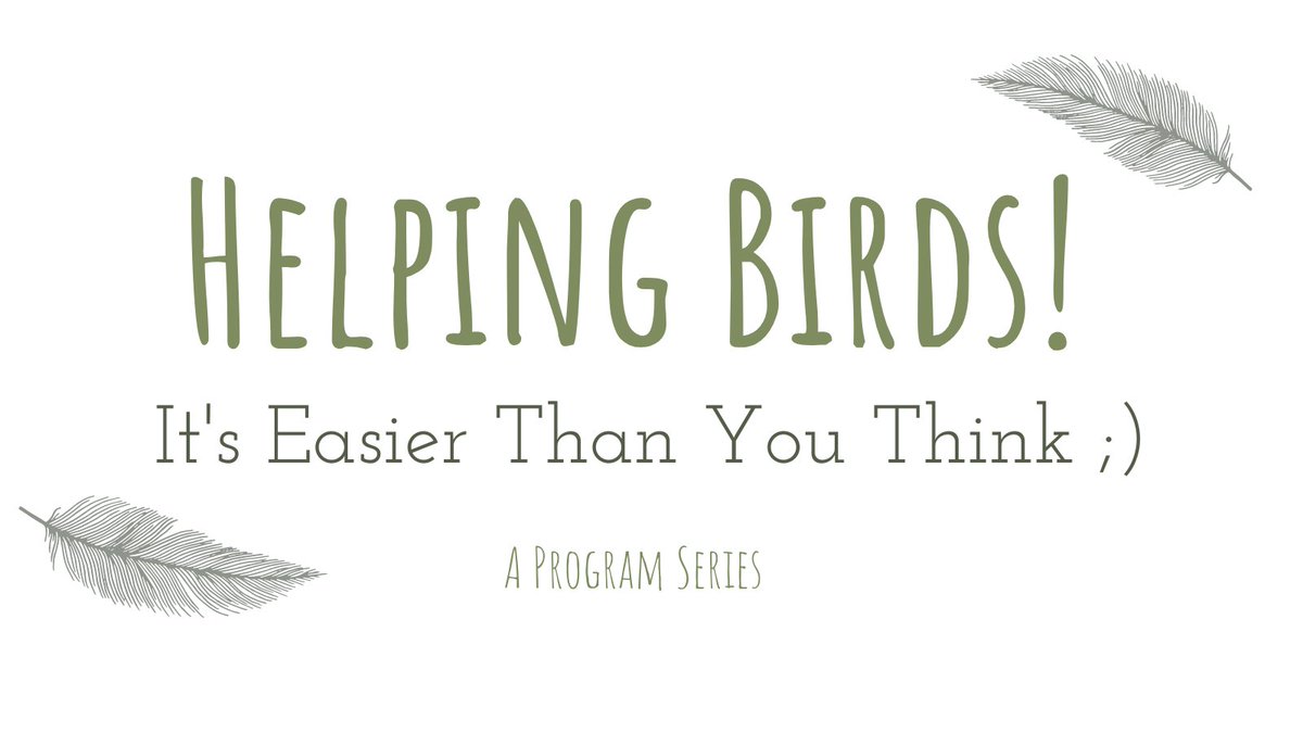 Want to have fun Sat morning? Join us at Burr Oak Woods Nature Center in Blue Springs, MO for some coffee, birding and bird-friendly actions! Find out more and sign up here: mrbo.org/event/helping-… #birds #communityscience #coffee #birdfriendlycoffee #nature