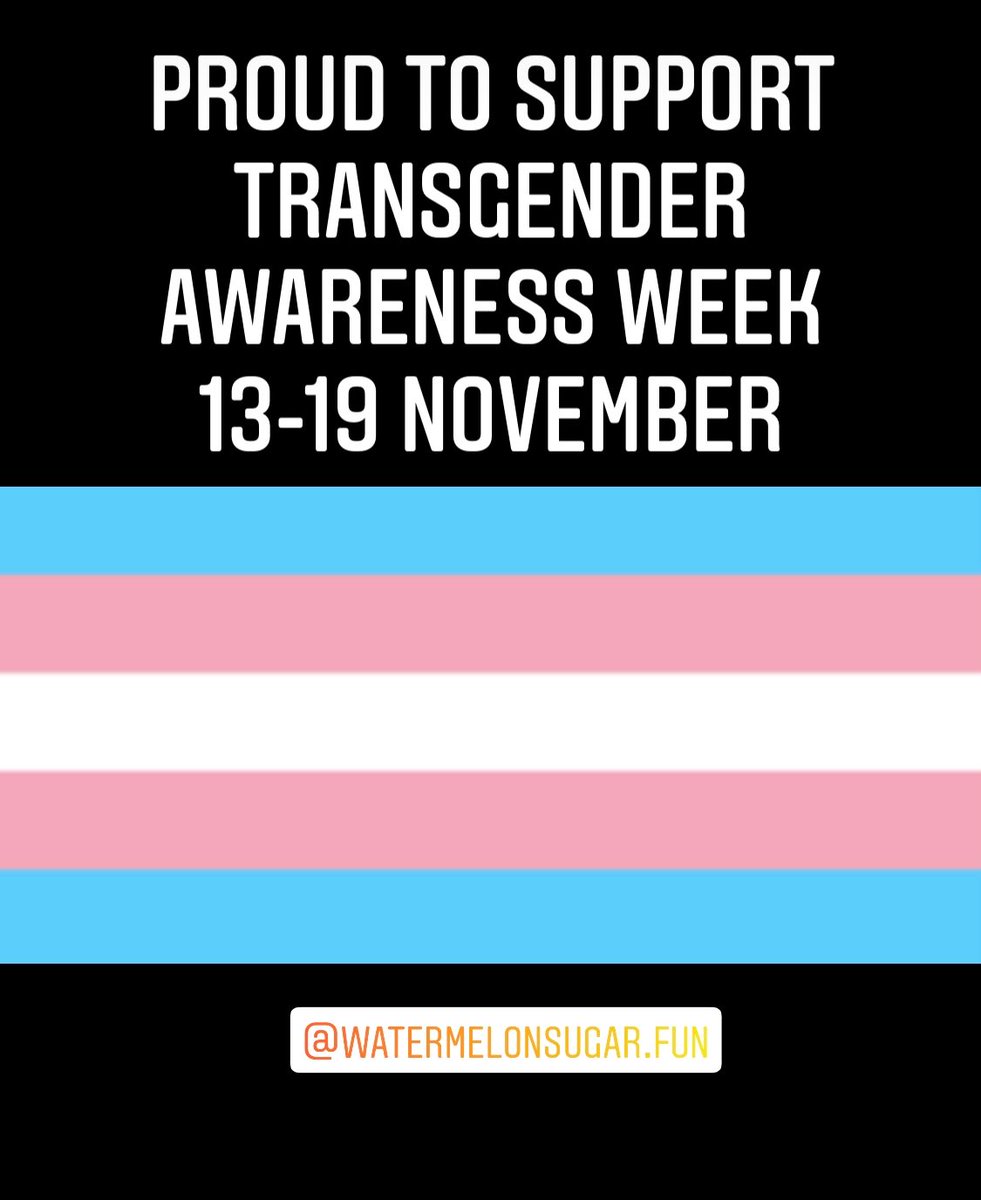 wmsfun's tweet photo. @watermelonsugar.fun we stand in solidarity with the trans community.        #transgender #transawarenessweek #transgenderawarenessweek #transisbeautiful #tdor #transweek #lgbtq🌈 #pride #awareness #tdor2021 #translivesmatter https://t.co/ApU45NeRW2