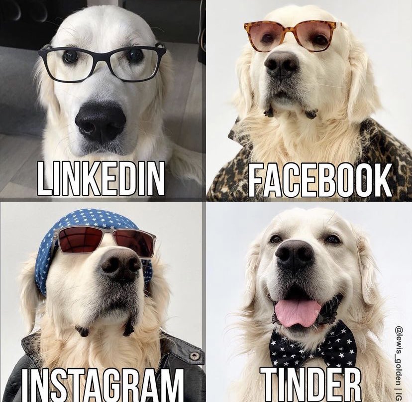 The Retriever Party tweet media