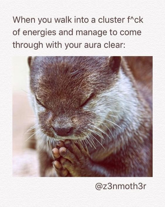 MpathEssentials's tweet photo. Praise BE! LOL

Via: @divinesacredshakti

#empath #empaths #empathessentials #empathsbelike #empathproblems #empathsofinstagram #empathempowerment #empathprotection #auras #energycleansing #energyclearing #soulaligned  #goodvibes #goodenergy https://t.co/Ii0bpZHBsi