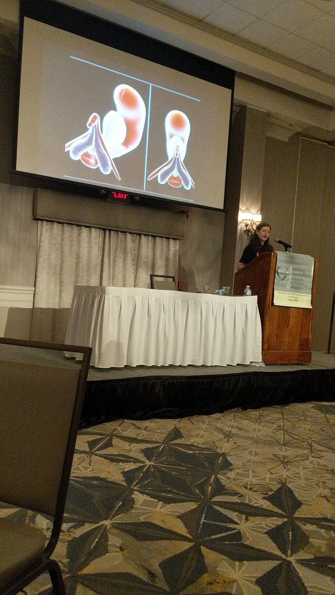 DVIntervention's tweet photo. #BISCMI21 Diana Groener providing sex education - important discussion on how we understand the lack of discussion and teaching about sex in a humanistic and real manner. @bisc_mi https://t.co/eHKr8jMiAM