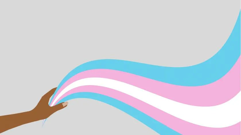HRZone's tweet photo. For Trans Awareness Week 2021, @CherylMorgan explores what does the Maya Forstater case ruling means for protected beliefs in the workplace. #TransAwarenessWeek #transworkplace #transrules #HR #inclusiveworkplace https://t.co/RK4iyk0loN https://t.co/6Xooq7btc6