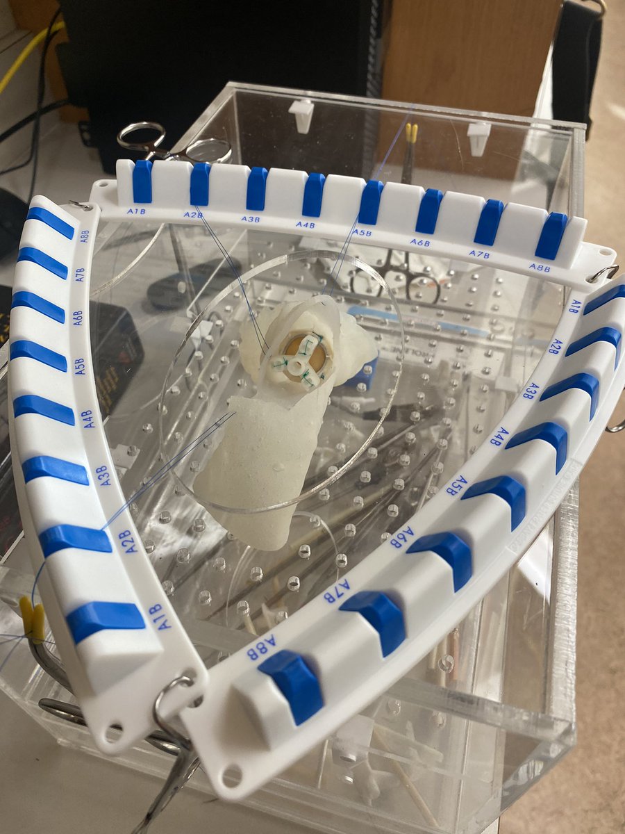 DrAbs2024's tweet photo. This is part of my PhD, but the most gratifying part is watching my colleagues benefit :)#surgicalsim #design #surgicaleducation https://t.co/TNOX4HQkPJ