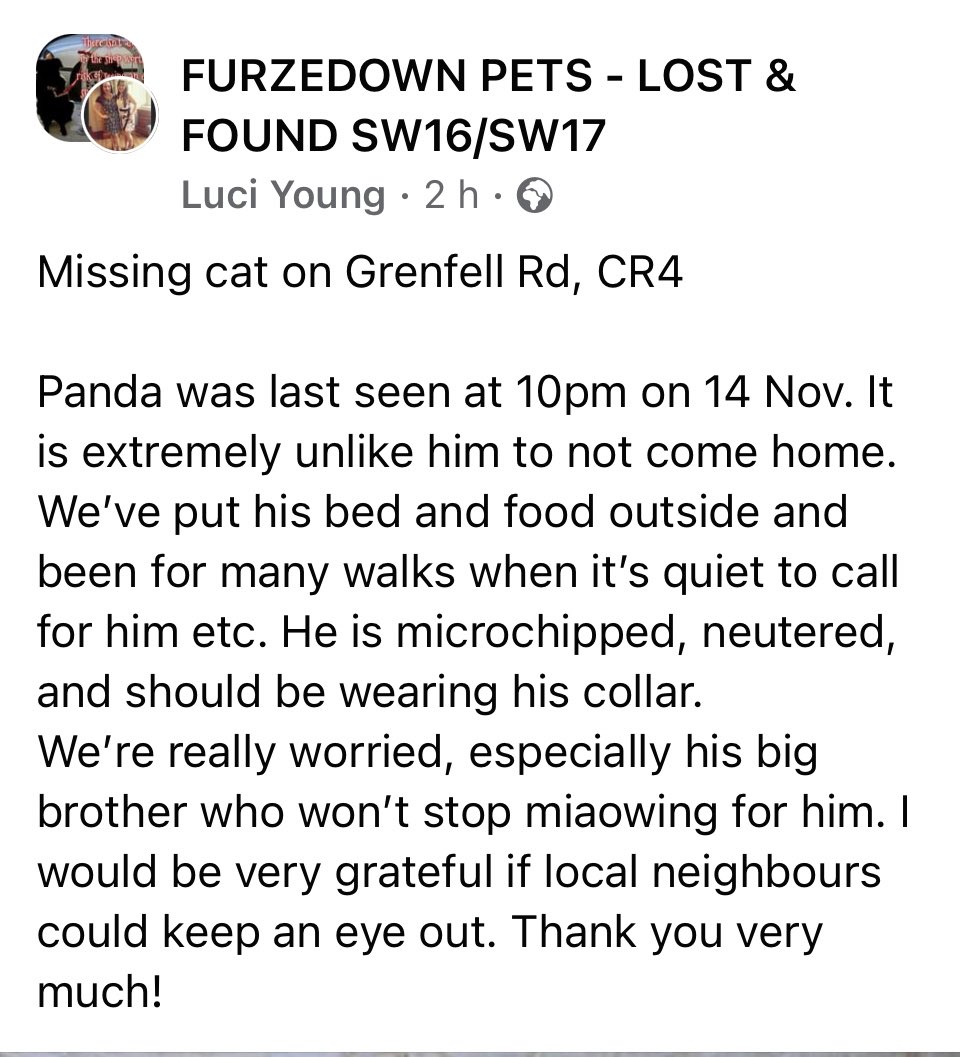 reggiemollieros's tweet photo. LOST CAT Panda is lost from Grenfell Road CR4 near Tooting over ground station any sightings much appreciated. White with black markings. Chipped and neutered. https://t.co/Ii29lFHd9r thank you https://t.co/HDBKlUJdZ0