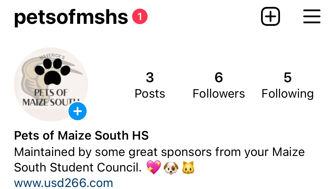 mavstuco's tweet photo. We are starting some “feel good” accounts on Instagram to help spread goodness! 💖 share with us a pic of your pet (message us on here or on Insta) and we will highlight your pet on our Instagram page! https://t.co/FqccQVlRen