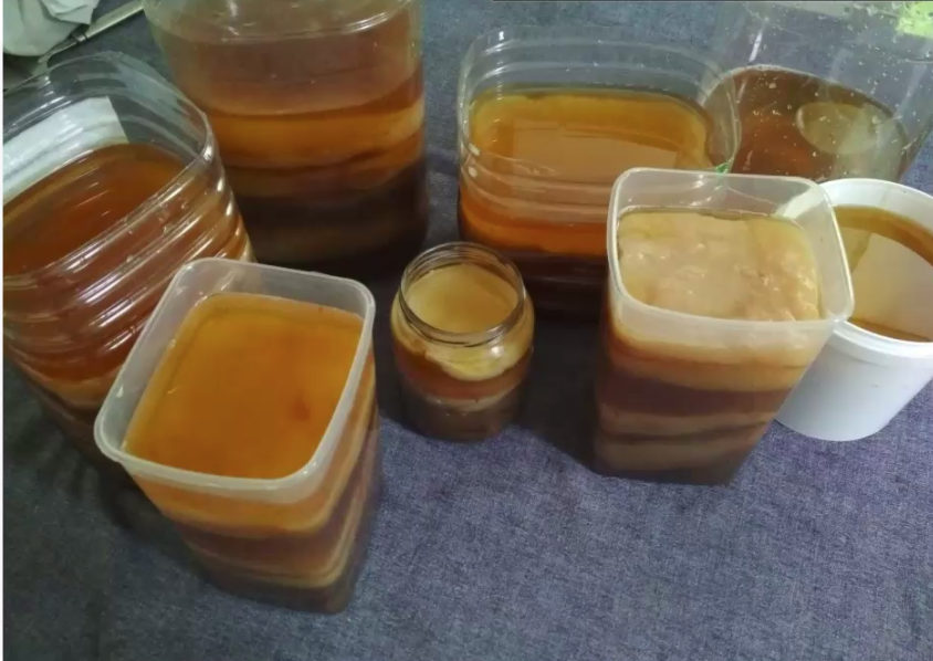 CAFIgalicia's tweet photo. ⌚️Exploramos o cultivo do #SCOBY
⏱️o resultado é unha celulosa bacteriana de altas prestacións
👜 e logo @margaperi introduce a electrónica e funciona!
#CAFI_AulaNova #CAFI_maker https://t.co/40cctK5tKn