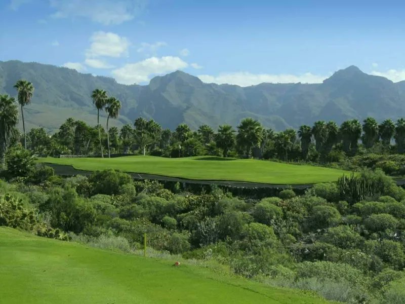 TGI Golf Travel ⛳️ 🌞 ✈️ tweet media