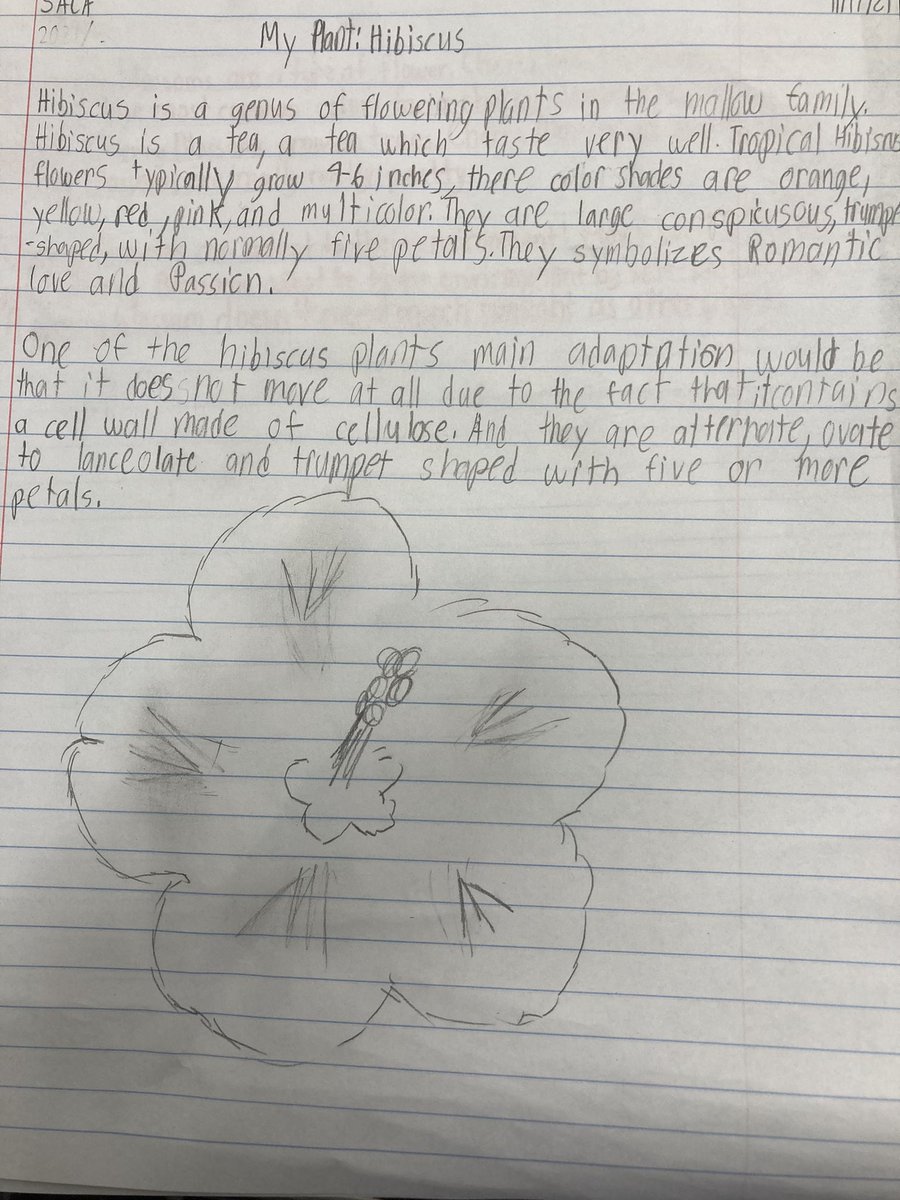 SACAMathSci345's tweet image. Fourth grade researched a plant or flower and described how they adapt to their environments. Here is some of their work! #fourthgradescience