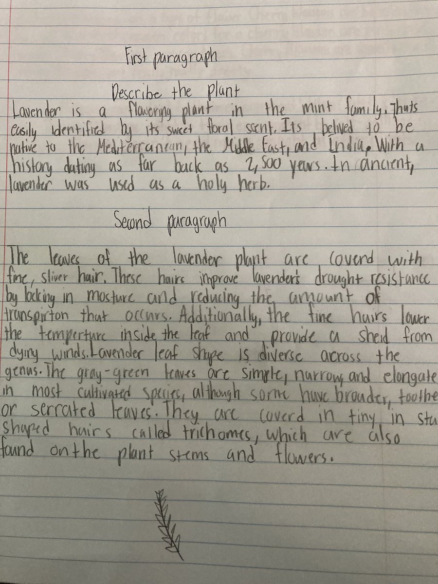 SACAMathSci345's tweet image. Fourth grade researched a plant or flower and described how they adapt to their environments. Here is some of their work! #fourthgradescience