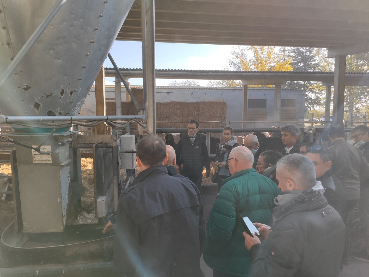 a_csnvs's tweet photo. Avui representants d'@Interbev_fr han visitat dos puntals del sector boví:@coopivars i @mercolleida 
per parlar de mercat, #sostenibilitat i #alimentacioeficient
@asoprovac Cat i @Provacuno també hi hem estat👌 https://t.co/92ykuXfoRX