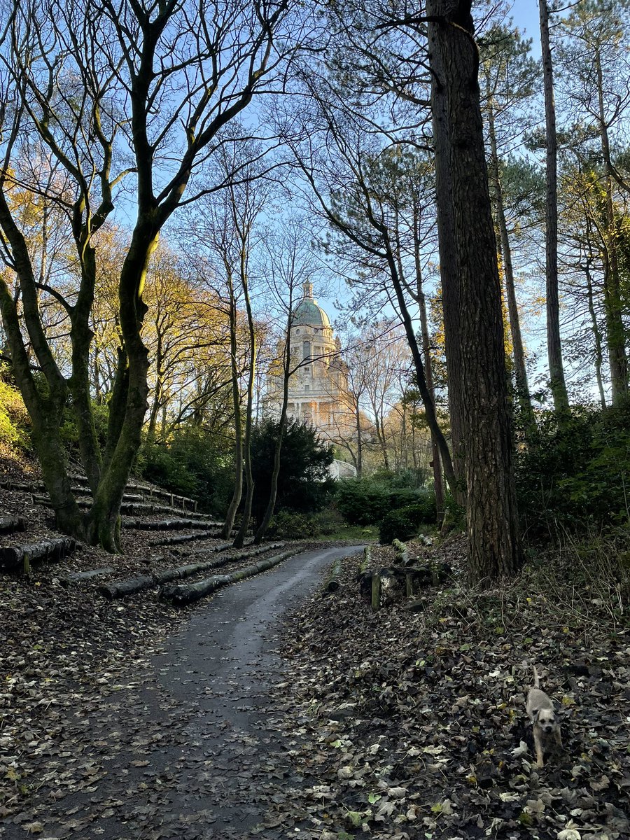 rawsthorne_sam's tweet photo. Milo agrees that Williamson Park looks especially beautiful in the autumn https://t.co/81ooIWj0nX