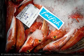 NewlynFishing's tweet photo. Yet Another Large #MixVariety of #FreshCornish Now arriving for Thursday #NewlynMktAuction as #Trawler ‘StGeorges’ lands #CornishSole’ Monkfish’ Dover:Lemon Sole’ Plaice’ ect!..With #Netter ‘OceanPride’ offering increasingly popular #CornishPollack @NFF_fishmongers @Cornishfpo https://t.co/BAhDJX72oh