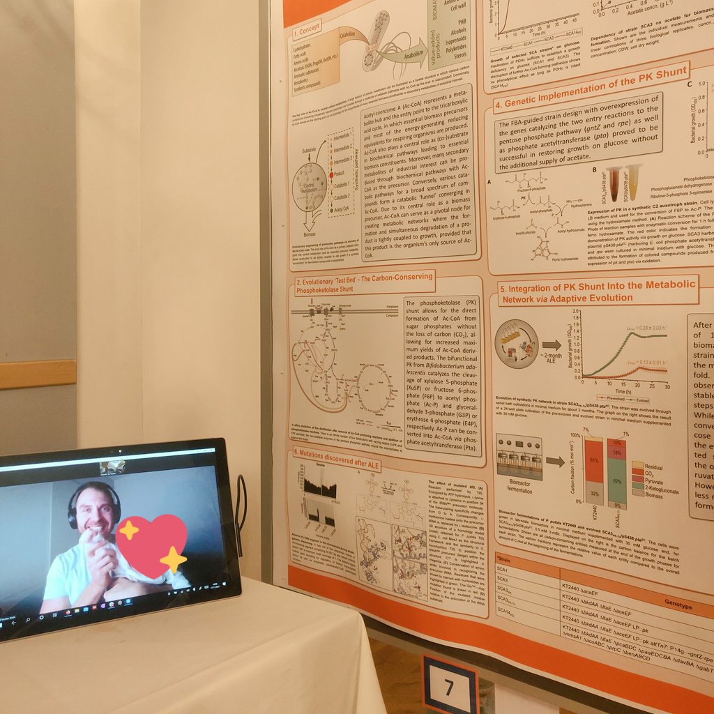 PabloINik's tweet photo. Our @The_NiWi @LabNikel (remotely) nailing his poster presentation at the #AnnualSeminar @DTUBiosustain while getting #parenting rightly done 💪 the lil one seems quite excited about growth-coupled selection schemes in #Pseudomonas #putida! https://t.co/uLPSUg5DJJ