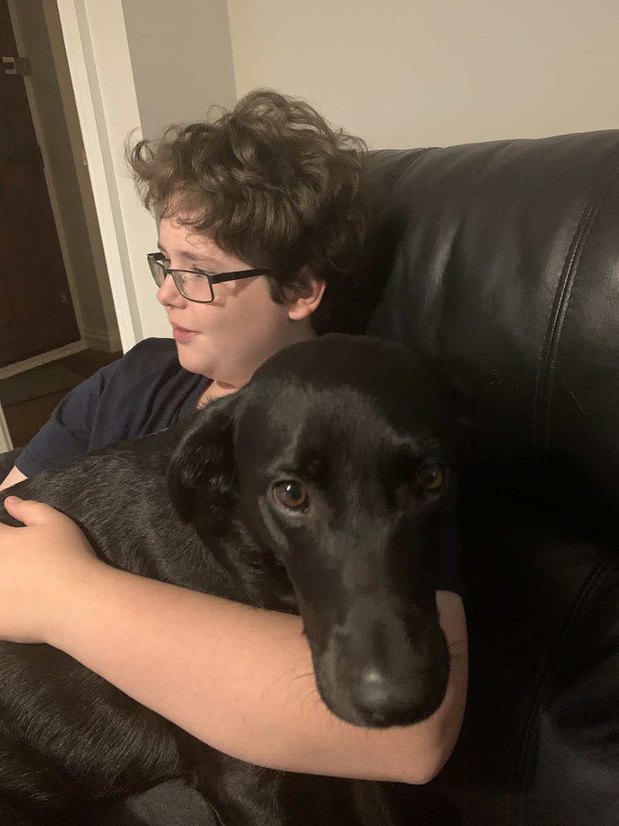 chax45's tweet photo. When your favourite baker @juergenthebread gets knocked out of bake off you need cuddles from your dog #GBBO https://t.co/WAhMa0Nluz