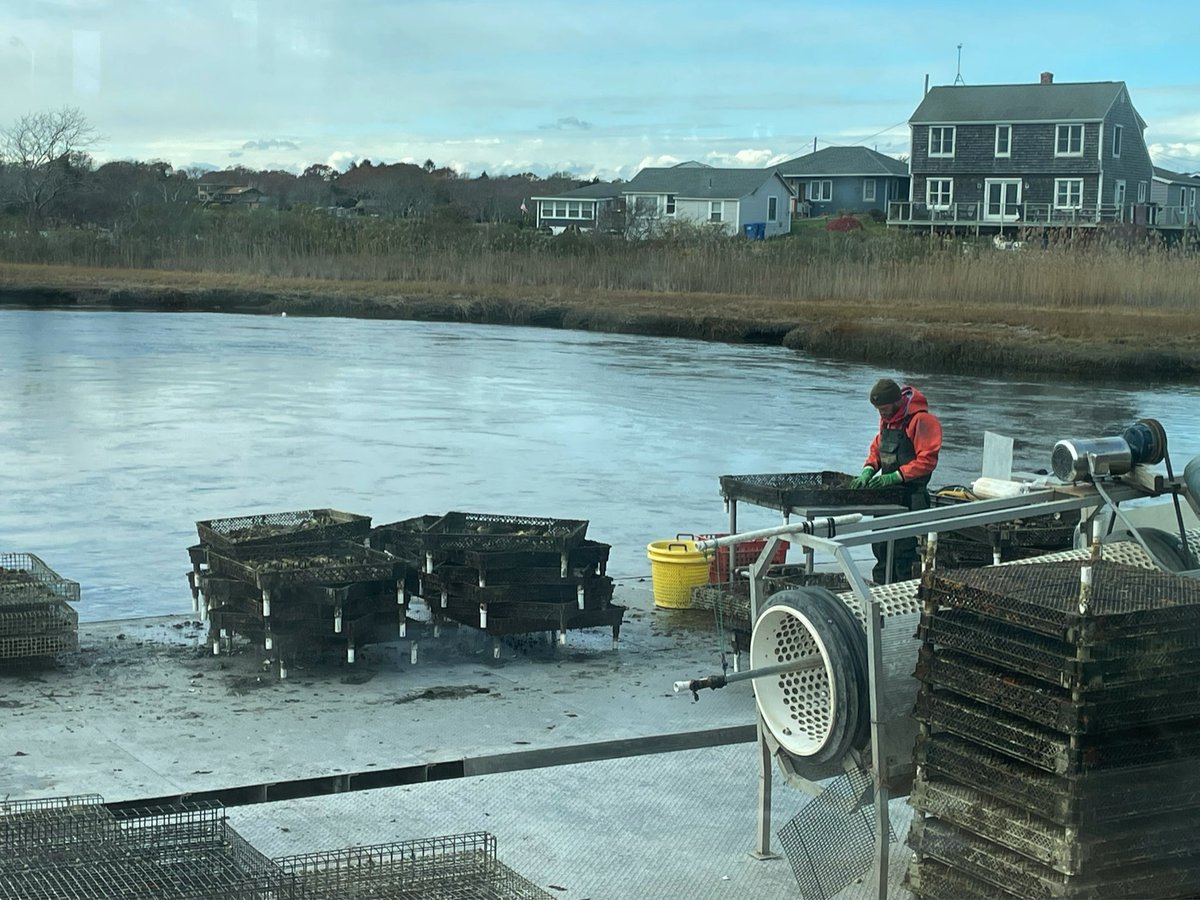 Who knew I could find my happy place in an oyster bar in Rhode Island listening to the Grateful Dead?