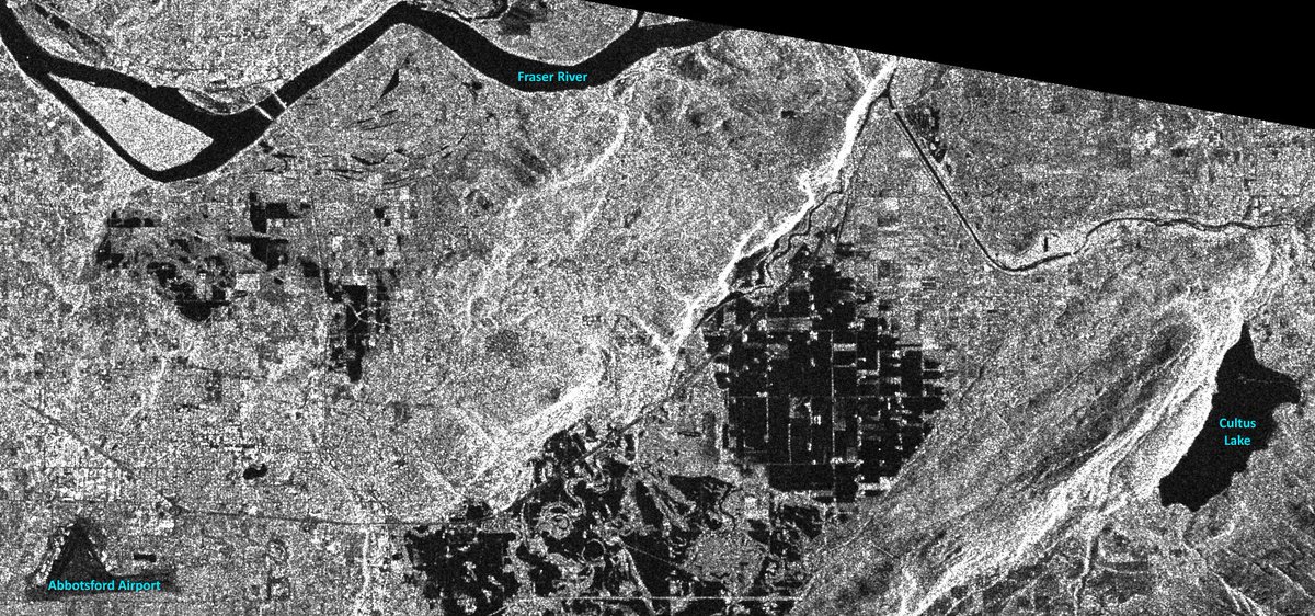 LeanderCampbell @bsky.social & @mas.to tweet media