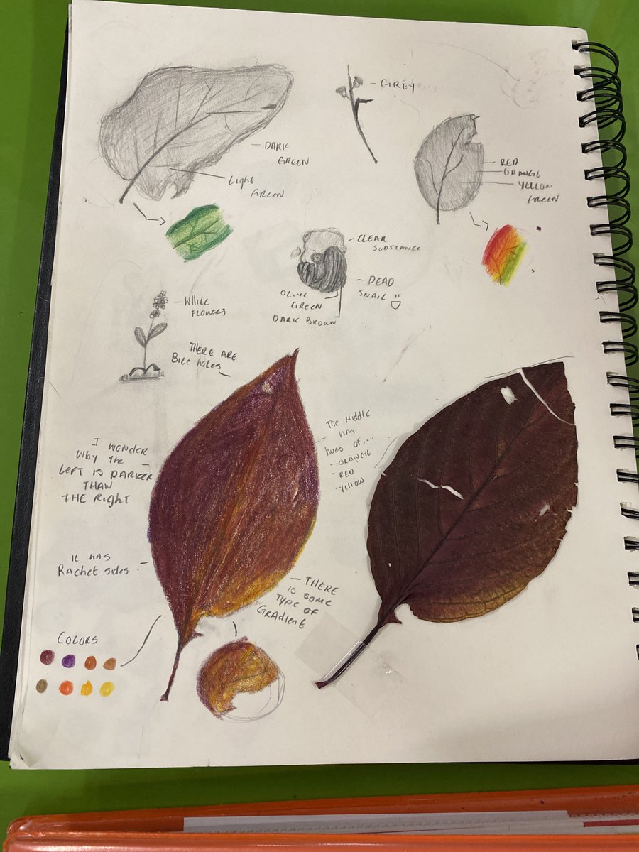 Class 8-3 travelled to the local pond to make scientific drawings of 1 living and 1 living thing.