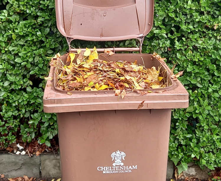 Vision21Glos's tweet photo. HELP TO KEEP OUR AIR CLEAN
Please remember to place your leaves in your "green" bin  instead of burning them. Burning them adds both carbon and smoke pollution to our atmosphere. 
@CleanAirChelt  #cheltenhamzero #sustainability https://t.co/XPbsDAJaHH