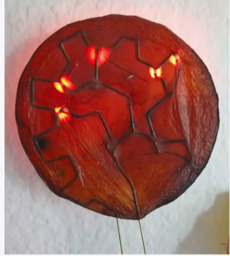 cfdezmunin's tweet photo. @luztecnoloxia disto falábache disto, o SCOBY da kombucha traballado con electrónica por @margaperi en Tecnoloxía e creación maker de @CAFIgalicia #CAFI_AulaNova #CAFI_maker https://t.co/DiyCO4R8MM