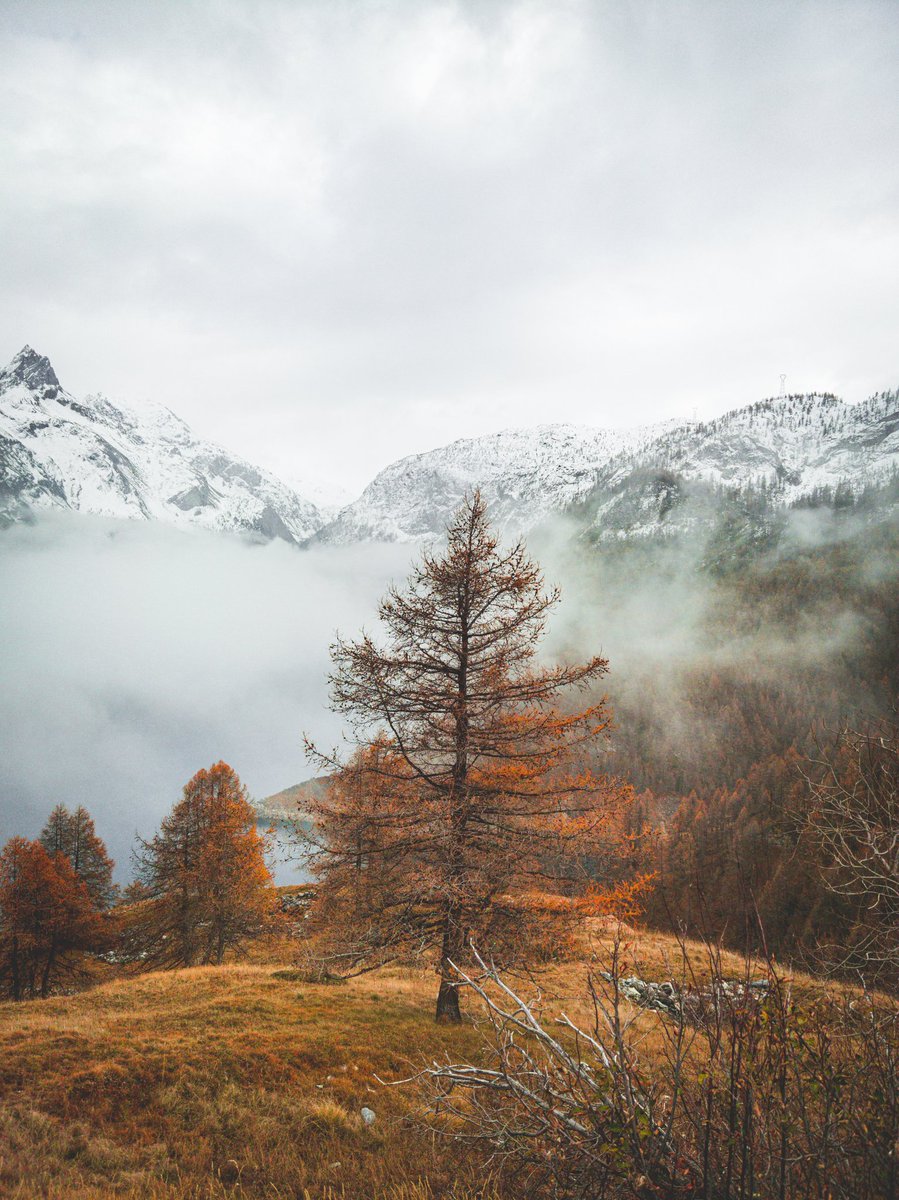 Zaiiden's tweet photo. 🏔️🍂 https://t.co/Iq45QuSTXn