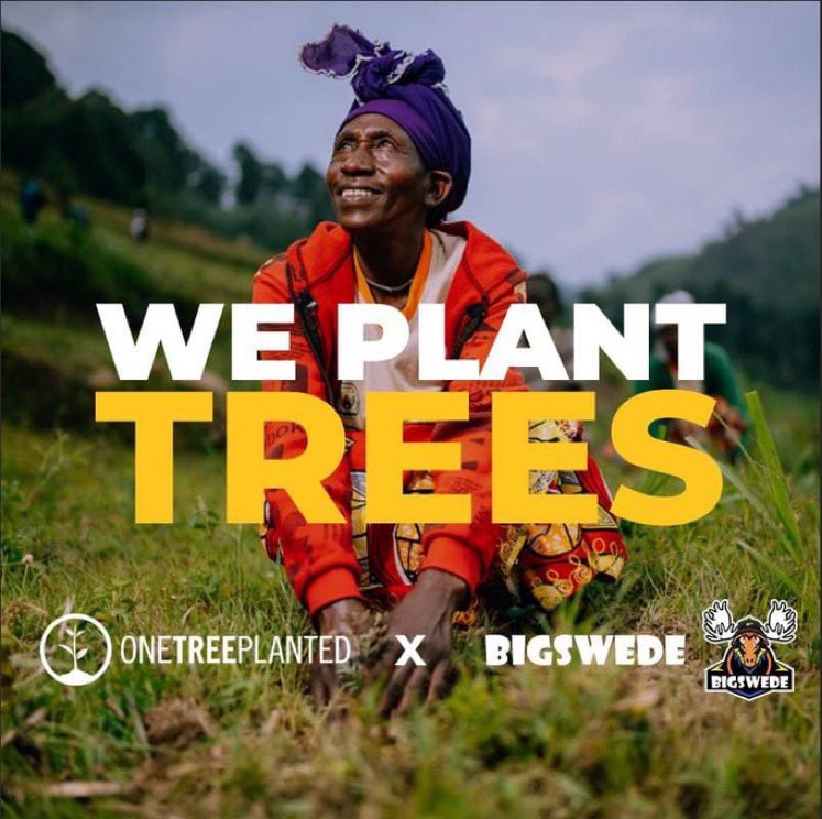 CRYPTO GIRL tweet media