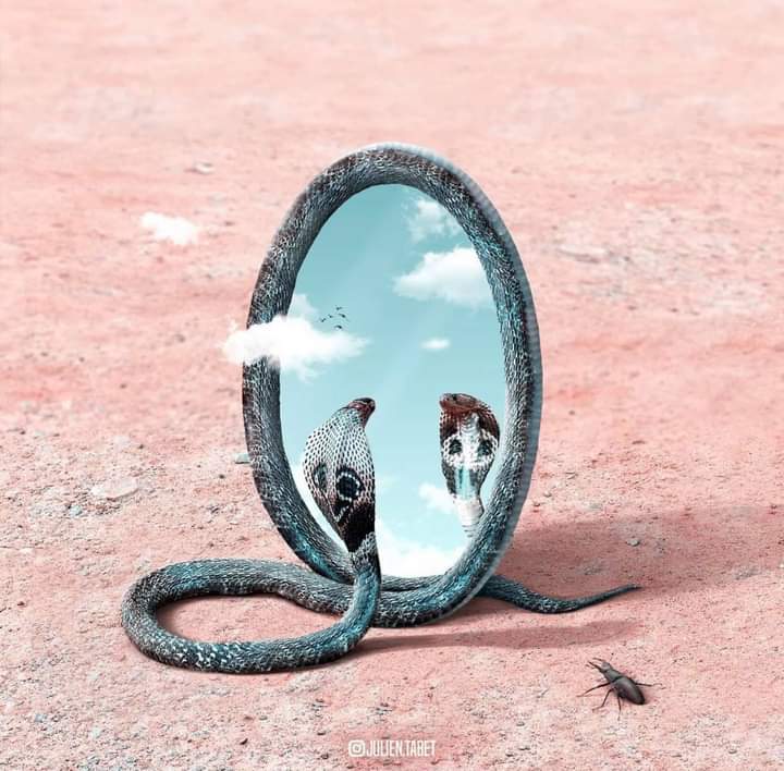 Trendcomeddy's tweet photo. مهما حاولوا أذيتك ، في النهاية لا يحيق المكر السيء إلا بأهله .. 

• Picture credit : Julien Tabet https://t.co/JnGb50GeHR