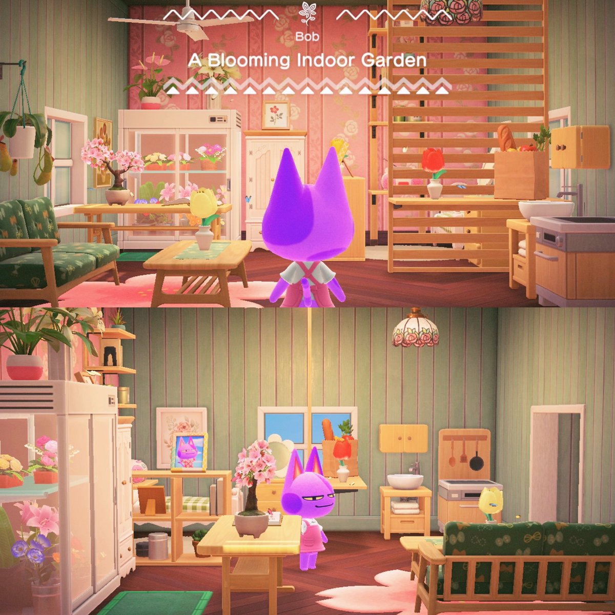 peachcliffs's tweet image. bob’s indoor garden and tiny house 🌷🪴