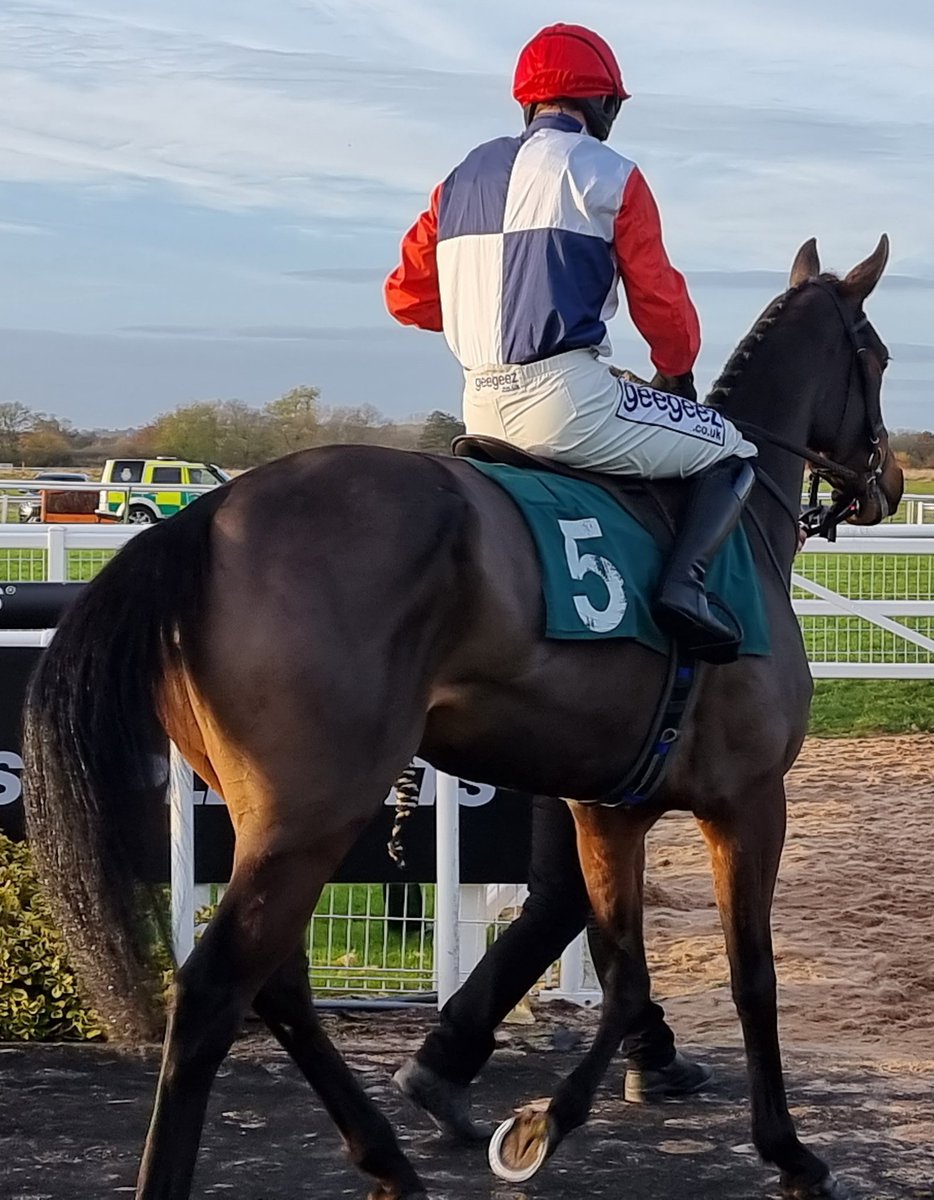 MattBisogno's tweet photo. Really promising first run from our Isfahan filly, Konigin Isabella, at Warwick this afternoon. Green throughout the preliminaries and during the race, she stuck on well for third and will have learned bundles. Syndicate very well looked after by @WarwickRaces 👏🙏 https://t.co/9HffSQ1z7U