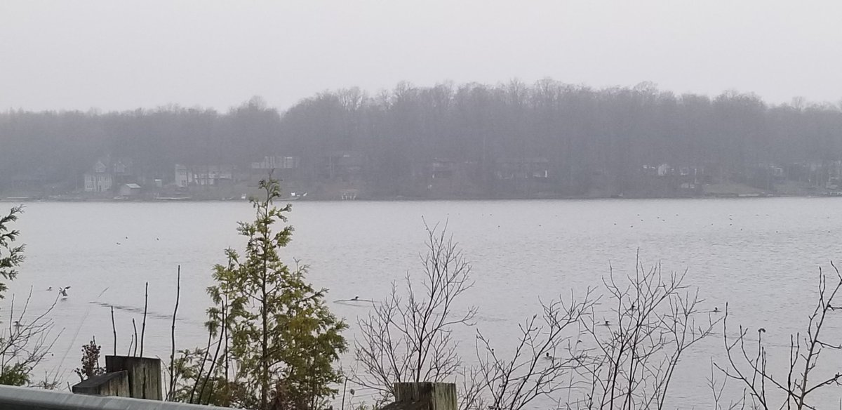 oldfarmgirlKA's tweet photo. #WorklessWednesday is here again..
Enroute to mom's to decorate her place up for Christmas
Lake Eugenia is always a place of beauty to me, despite the drizzle n dull sky
Osprey nest is huge, sits on 2 pallets
Enjoy the day, π n π, make someone wonder what you are up to π€ https://t.co/AFmed5RZsN