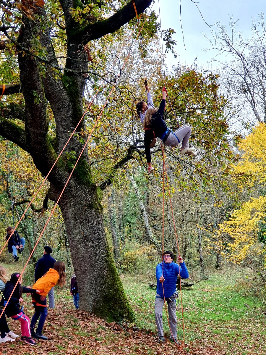 BaseBouconne's tweet photo. 🌄Le Festival #Pyrenicimes a franchi le massif forestier de Bouconne pour venir au refuge du Centre de Loisirs !
Plusieurs activités ont été proposées aux enfants pour s'éveiller au monde enchanté de la montagne et de la nature.
MERCI aux bénévoles venus partager leur passion ! https://t.co/clTvmXscIC