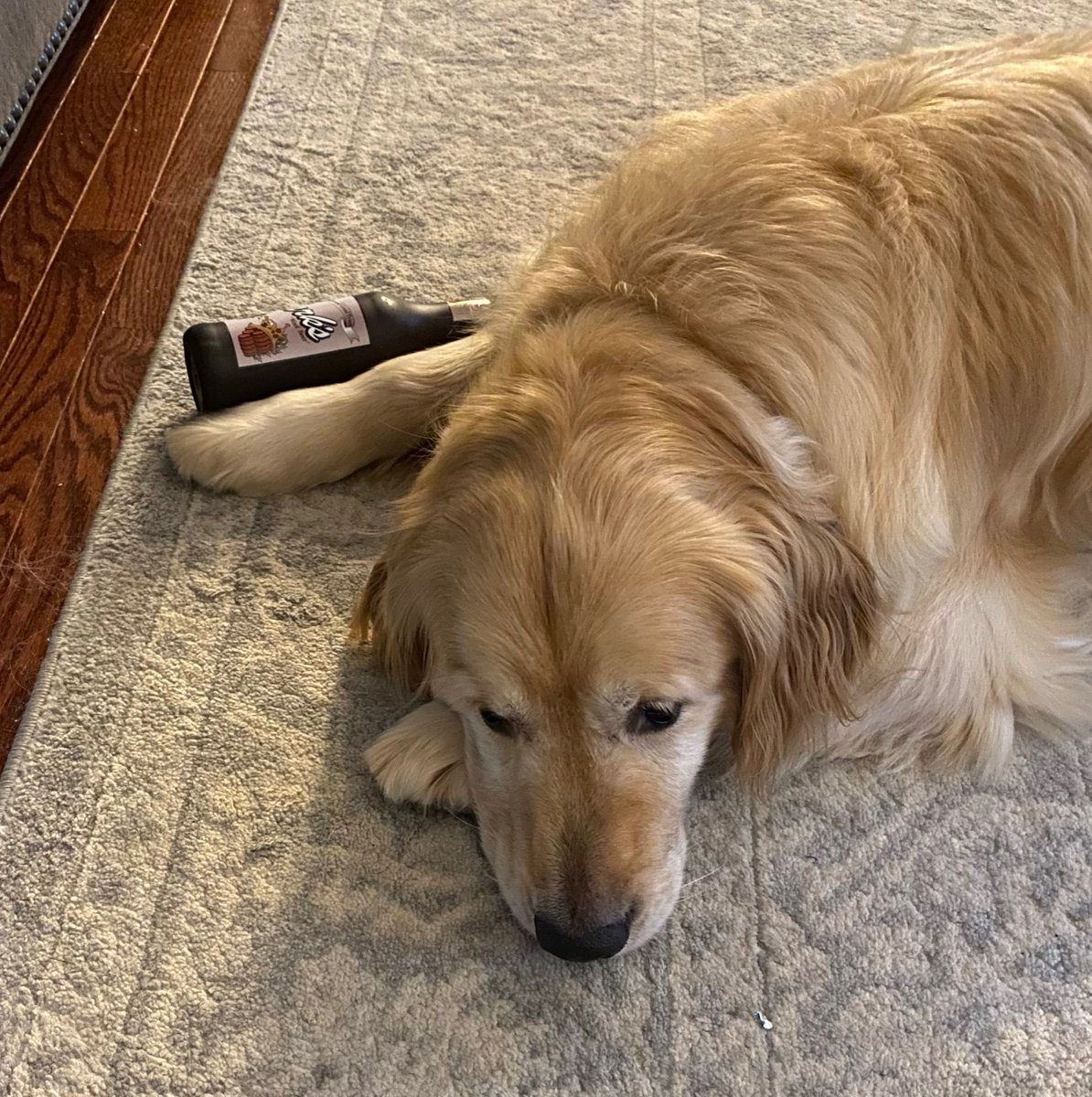 AdoptAGldn's tweet photo. @dog_rates @budweiserusa Murphy is a rescue pup who flew all the way from Turkey to his new home in Virginia. He’s living the American dream now! #PupweiserContest #dogtoy #notarealbottle https://t.co/maeUIIowbH