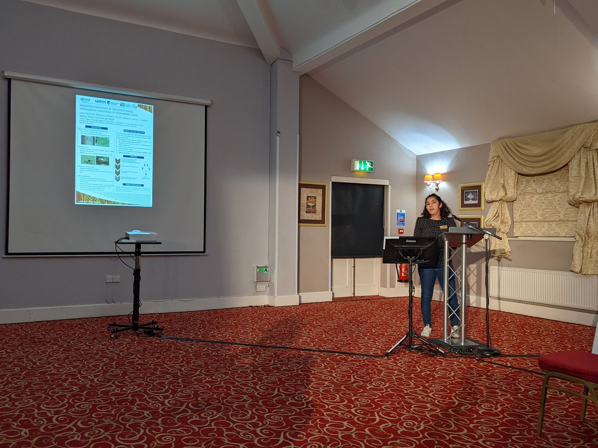 <a href="/LMM_CH/">Laura M Martinez-Ch</a> from <a href="/HarperAdamsUni/">Harper Adams University</a>  and @NIABEMR describing her work as part of the <a href="/CTP_FCR/">CTP-FCR</a> on the biocontrol of aphid pests of strawberry.