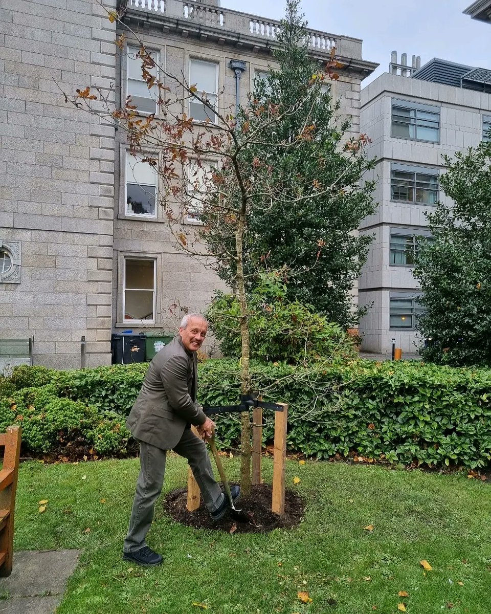 Facilities & Services, Trinity College (@tcddublin_fs) on Twitter photo To mark the retirement of the Chairman of the Grounds & Gardens Committee Prof John Parnell planted a tree in the Physics Lawn to mark his tenor as Chairman and invaluable contribution to the GAGC, College and <a href="/tcddublin_FS/">Facilities & Services, Trinity College</a> over the years. We wish you all the best John! To mark the retirement of the Chairman of the Grounds & Gardens Committee Prof John Parnell planted a tree in the Physics Lawn to mark his tenor as Chairman and invaluable contribution to the GAGC, College and <a href="/tcddublin_FS/">Facilities & Services, Trinity College</a> over the years. We wish you all the best John!