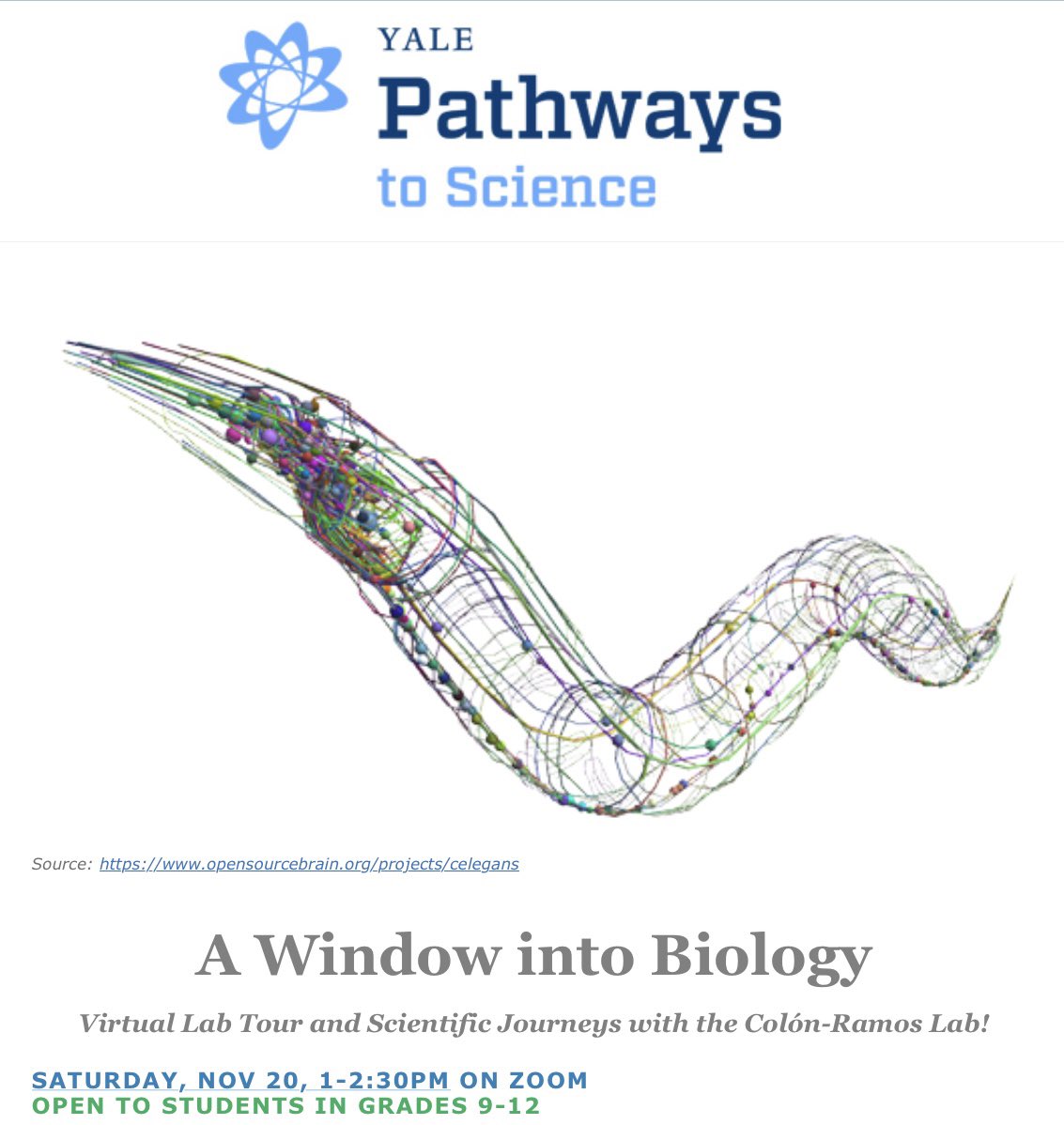 Yale Cell Biology (@yalecellbio) on Twitter photo The Colón-Ramos Lab (<a href="/dacolon/">Daniel Colón Ramos</a>) is partnering with <a href="/YalePathways/">Yale Pathways to Science</a> for a virtual lab tour this weekend! Local students will get the chance to meet members of the lab and see what a neuroscience lab looks like. #YalePathwaysToScience #YaleCellBio The Colón-Ramos Lab (<a href="/dacolon/">Daniel Colón Ramos</a>) is partnering with <a href="/YalePathways/">Yale Pathways to Science</a> for a virtual lab tour this weekend! Local students will get the chance to meet members of the lab and see what a neuroscience lab looks like. #YalePathwaysToScience #YaleCellBio