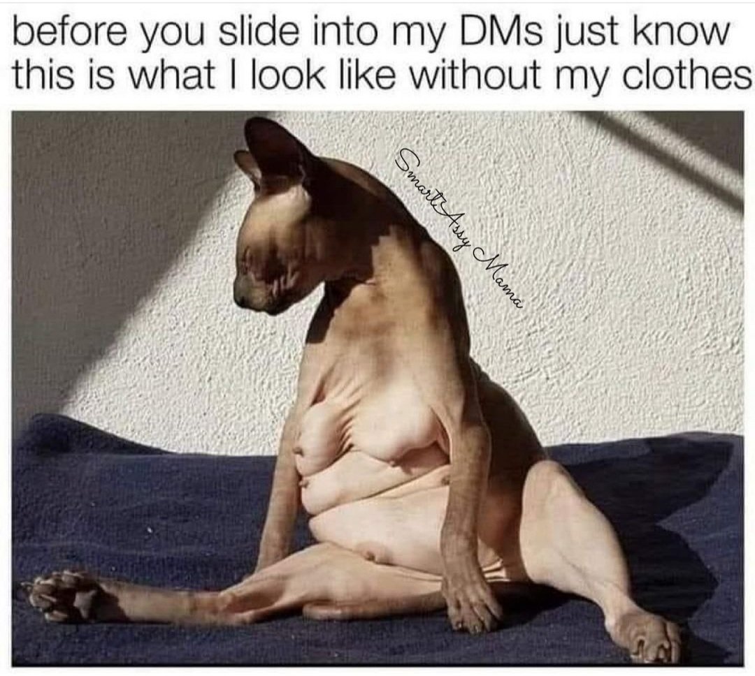 ☪️🅾️®ℹ♑️ 🇪 🦋 tweet media