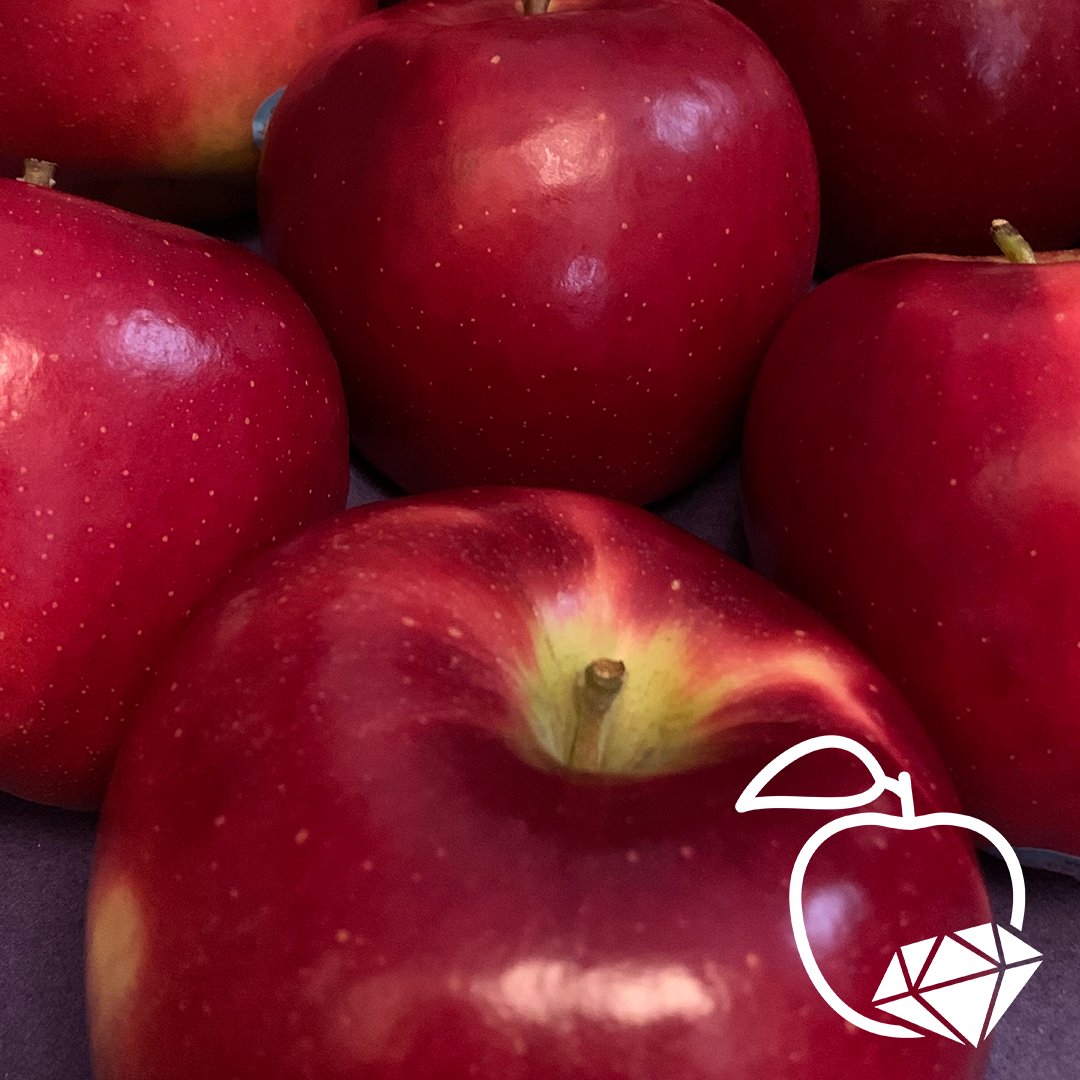 RubyFrostApple's tweet image. RubyFrost: the crown jewel of produce, with intense ruby-red color and the perfect balance of sweet and tart flavor. 

#RubyFrostApples #PrettyDeliciousApples #CrownJewelApple