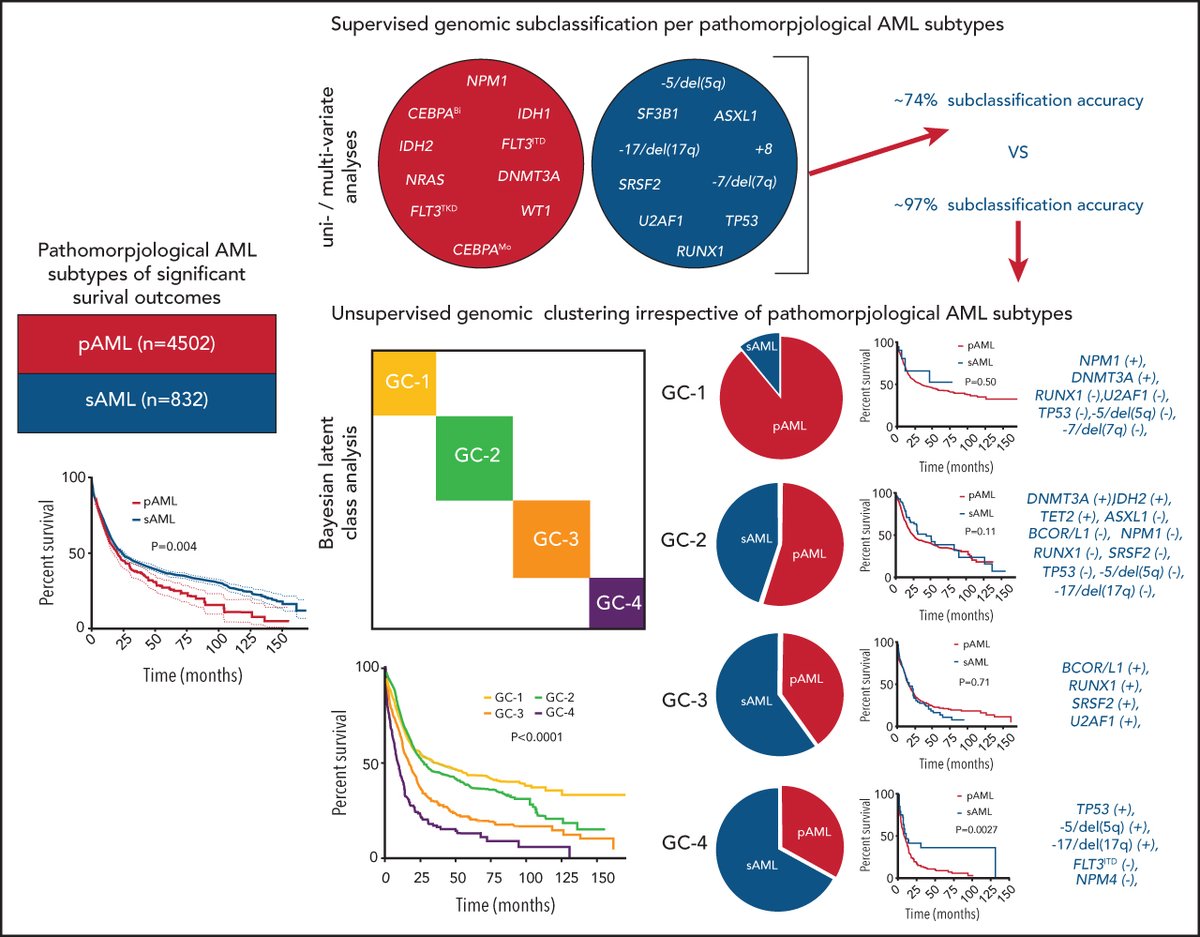 BloodPortfolio's tweet photo. Machine learning integrates genomic signatures for subclassification beyond primary and secondary acute myeloid leukemia #AML https://t.co/XLRyvQ2RL9 https://t.co/kgumCC8KZl