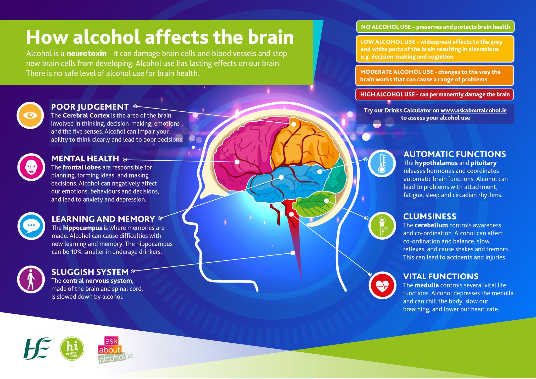 How alcohol affects the brain – Alcohol Awareness