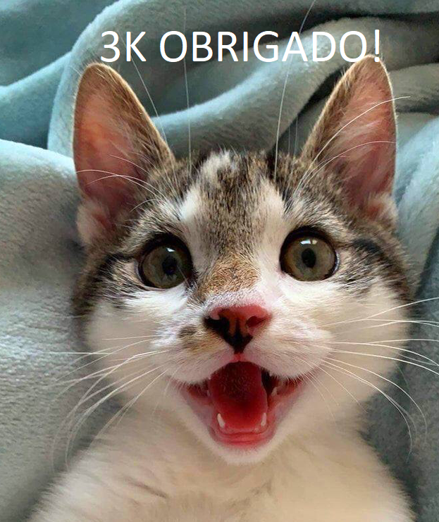 animaizinhos flamenguistas (@flanimais) on Twitter photo 